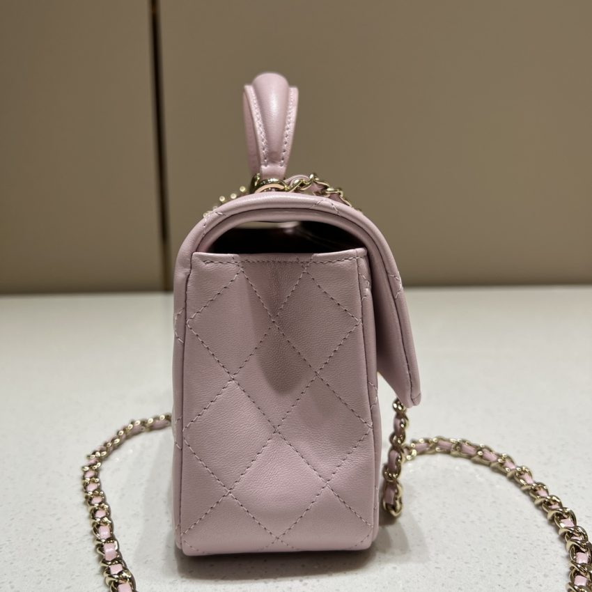CHANEL CF 20 cm Lion Pink