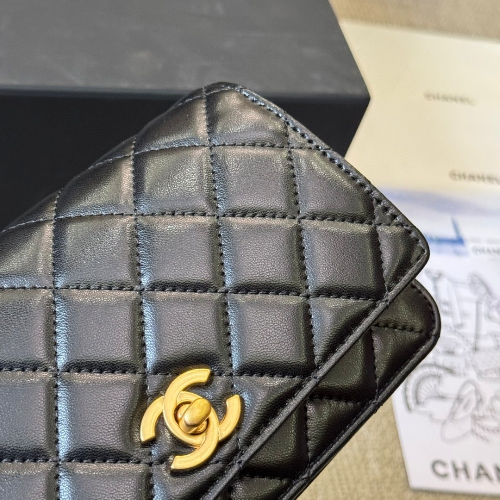 Chanel Classic Wallet On Chain Black 19cm