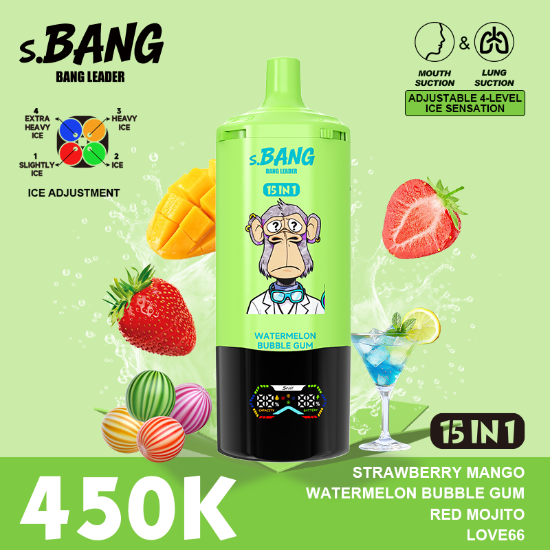 Bang Leader 450K Puffs 15-in-1 Prefilled Vape - 15 Flavours, Rechargeable