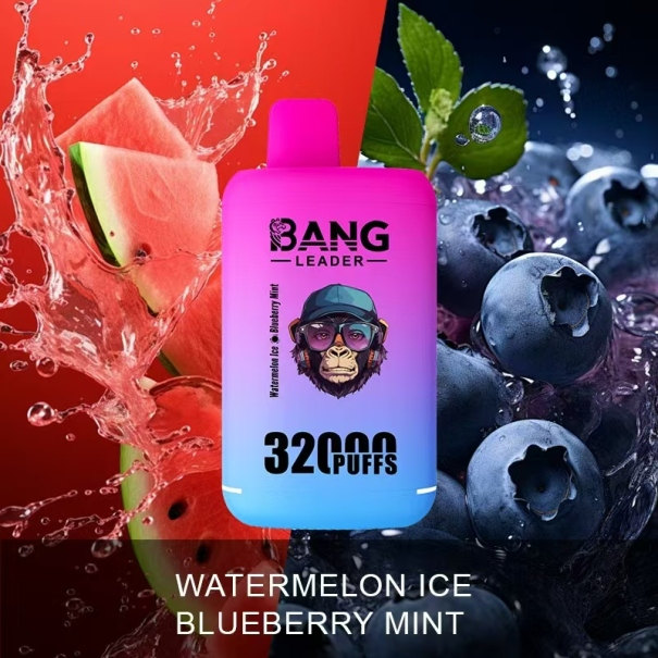 Bang Leader 32K Puffs 2-in-1 Prefilled Vape Device - Dual Flavour, Rechargeable, 650mAh, Dual Pods
