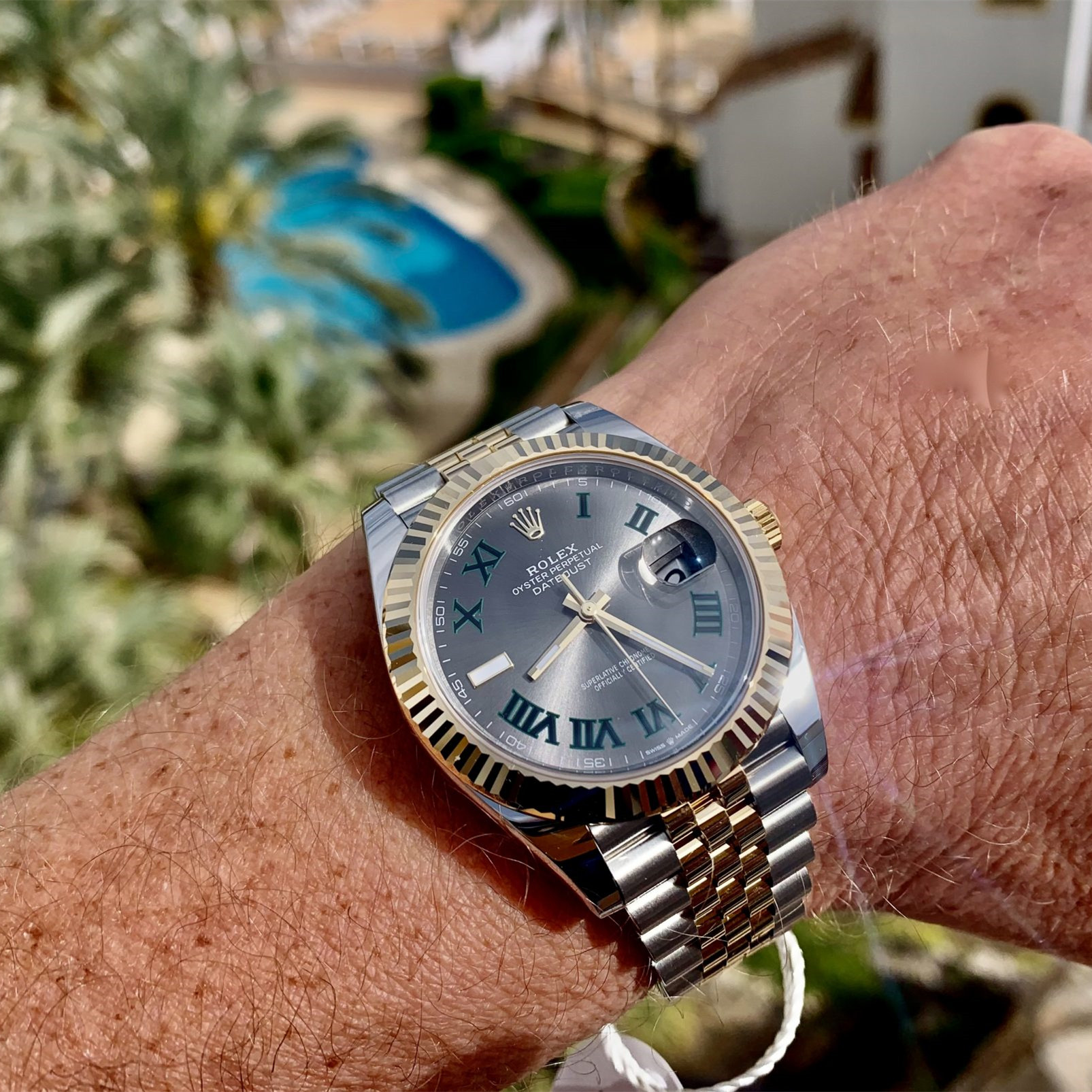 Rolex Oyster/Jubilee Perpetual Datejust 41 Two-tone Wimbledon - M126333-0020/126333-0019 Brand Unworn