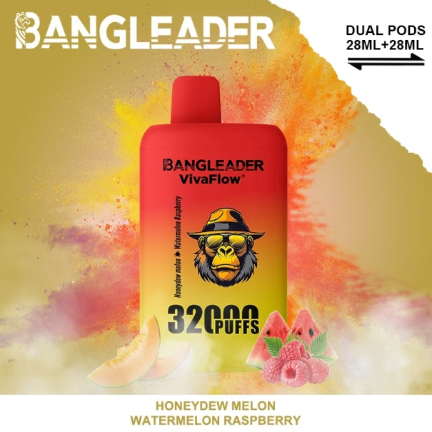 Bang Leader 32K Puffs 2-in-1 Prefilled Vape Device - Dual Flavour, Rechargeable, 650mAh, Dual Pods