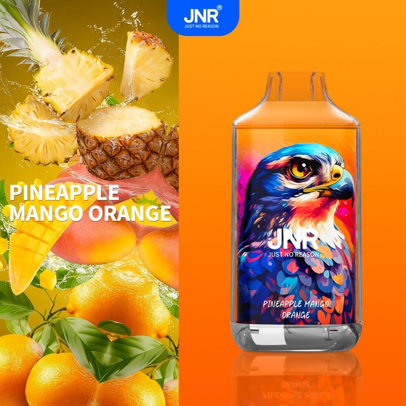 🔥 JNR Falcon 16K Jednorazowy Vape | 2% Nikotyny 💨 16,000 Puffów 🍓🥭🥝 | Szybka wysyłka z Polski 1-3 dni 🚚🇵🇱 | Amerykańska jakość 🇺🇸 | Nowi Klienci Hurtowi 💰🎉