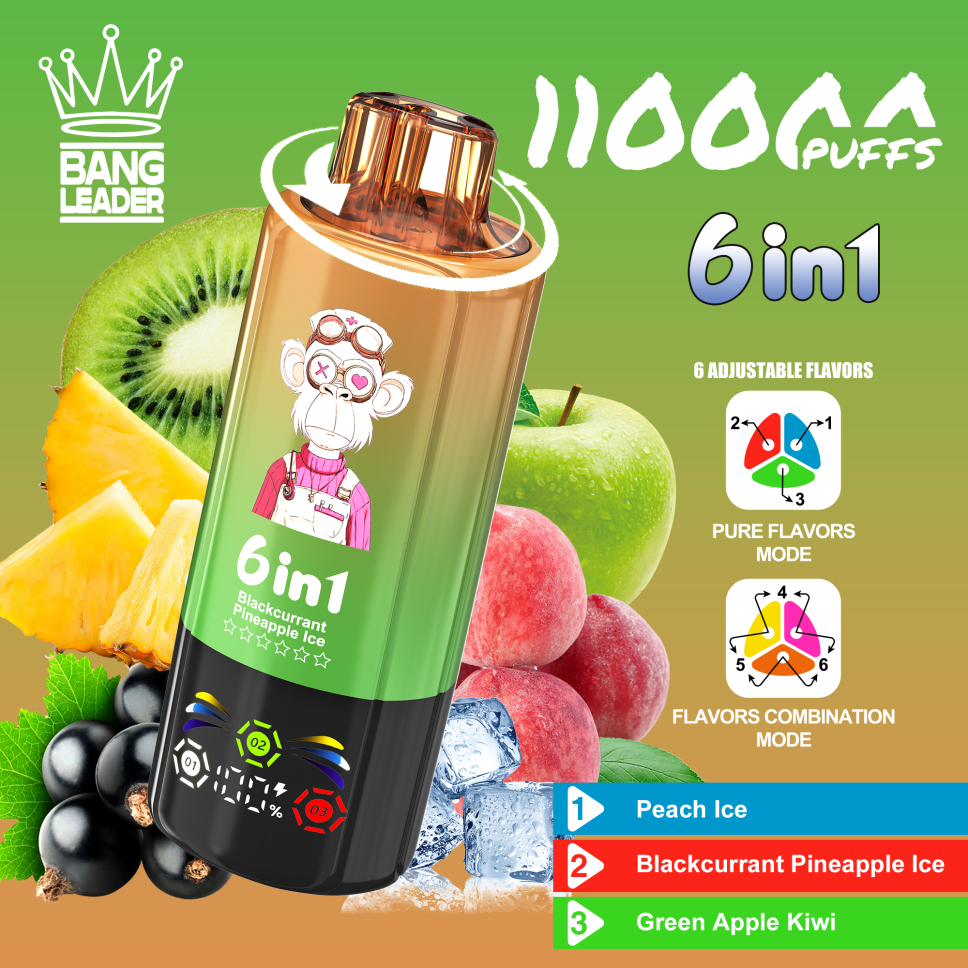 Bang Leader 110K Puffs 6-in-1 Prefilled Vape Device - 6 Flavours, Rechargeable, 850mAh
