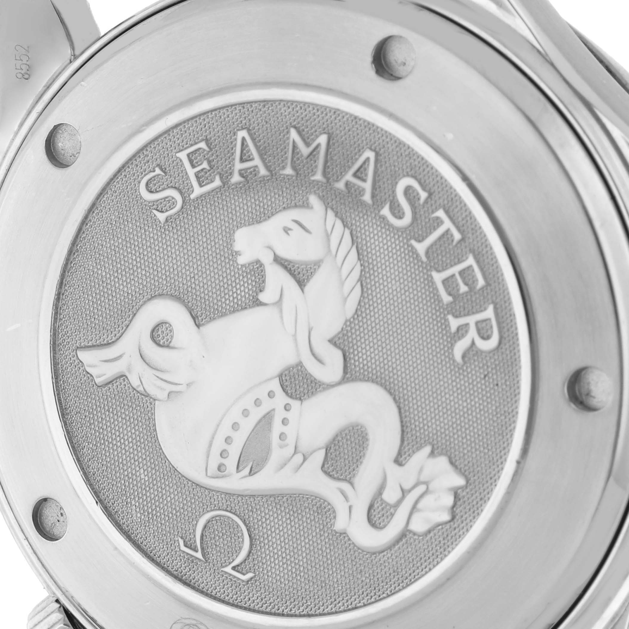 Omega Seamaster Diver 300M Steel Mens Watch 41.0 MM 2220.80.00