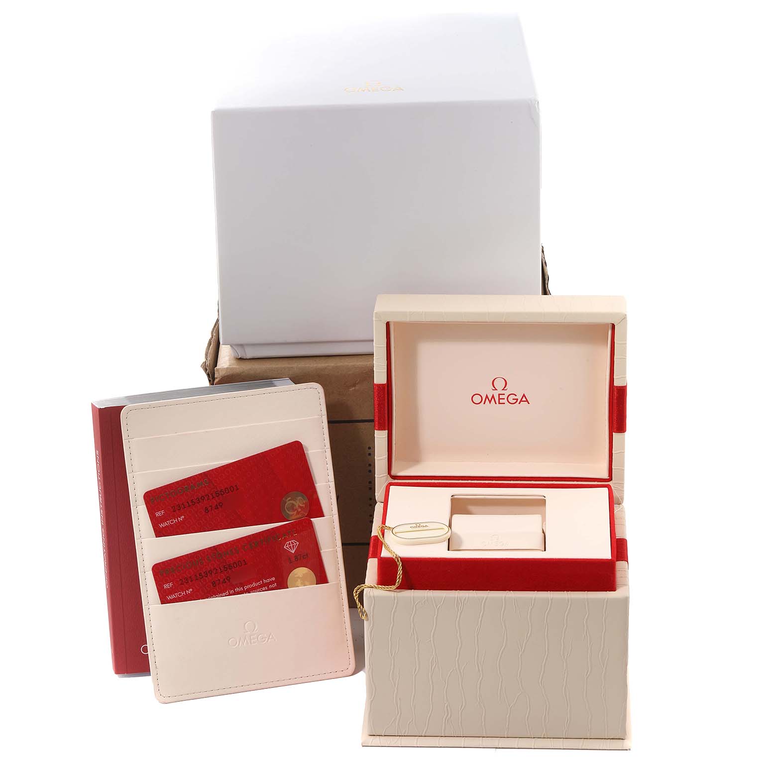 Omega Aqua Terra Mother of Pearl Diamond Steel Ladies Watch 38.0 MM 231.15.39.21.55.001