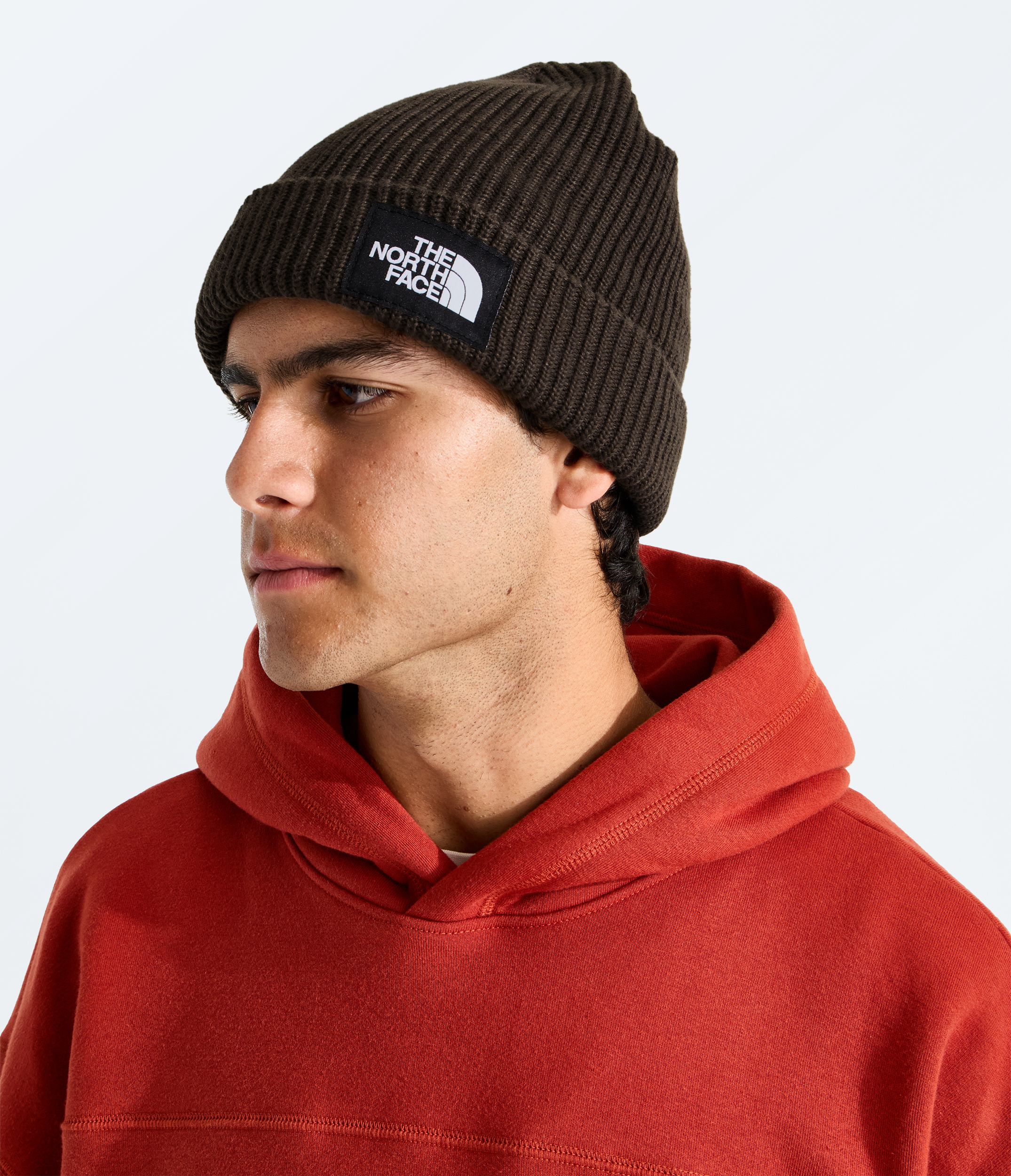 Salty Lined Beanie