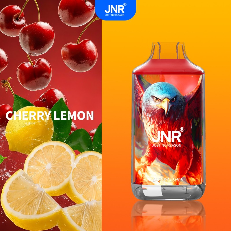 🔥 JNR Falcon 16K Jednorazowy Vape | 2% Nikotyny 💨 16,000 Puffów 🍓🥭🥝 | Szybka wysyłka z Polski 1-3 dni 🚚🇵🇱 | Amerykańska jakość 🇺🇸 | Nowi Klienci Hurtowi 💰🎉