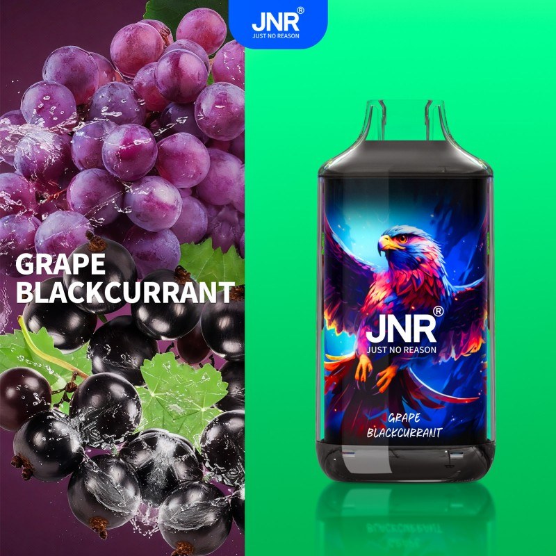 🔥 JNR Falcon 16K Jednorazowy Vape | 2% Nikotyny 💨 16,000 Puffów 🍓🥭🥝 | Szybka wysyłka z Polski 1-3 dni 🚚🇵🇱 | Amerykańska jakość 🇺🇸 | Nowi Klienci Hurtowi 💰🎉