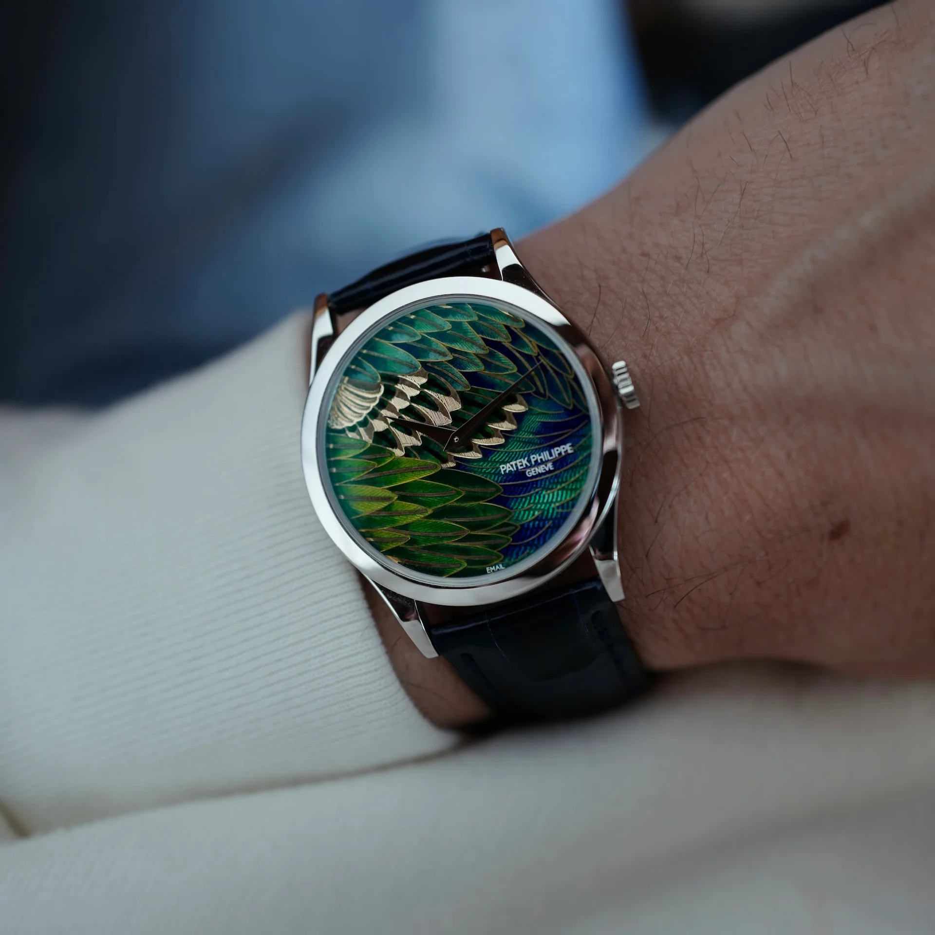 Patek Philippe Platinum Handcraft Calatrava Ref. 5077P with Peacock or Pheasant Dial
