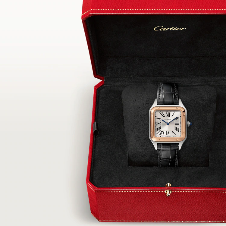 SANTOS-DUMONT Rose Gold MIx 38mm