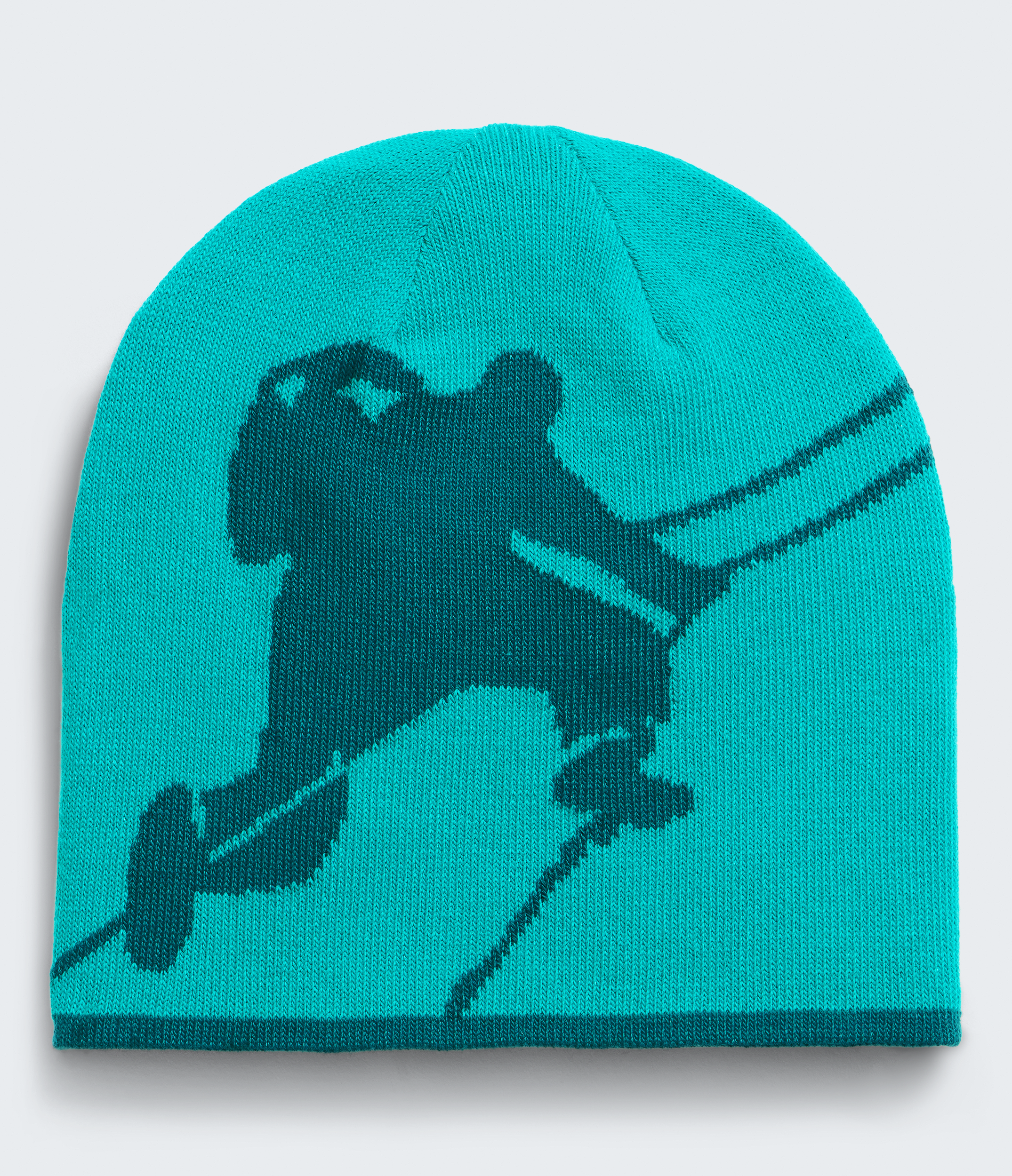 Reversible Highline Beanie