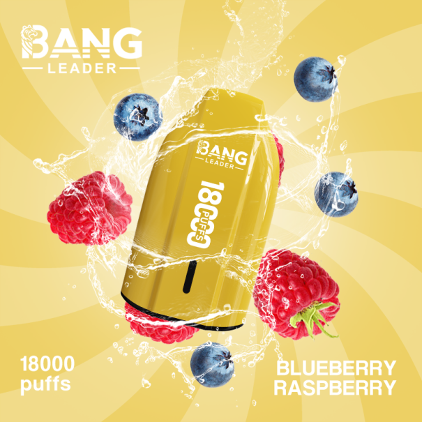 Bang Leader 18K Puffs Prefilled Vape Device - Rechargeable, 650mAh, Mesh Coil