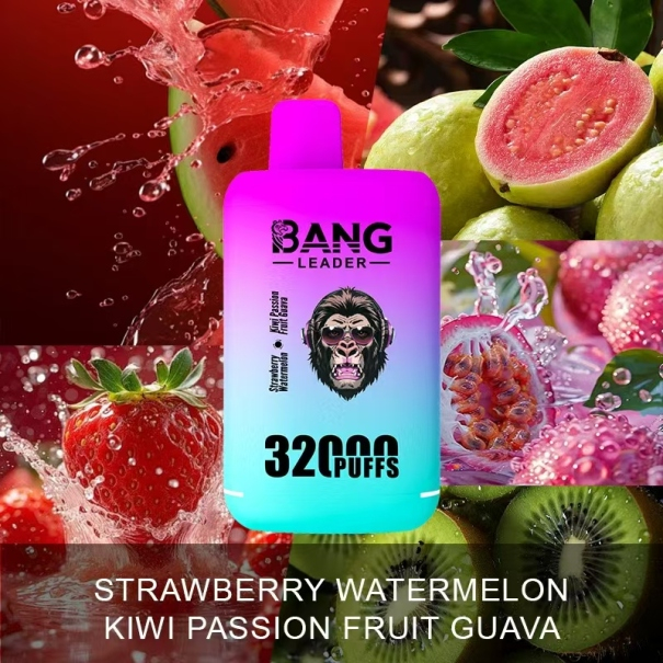 Bang Leader 32K Puffs 2-in-1 Prefilled Vape Device - Dual Flavour, Rechargeable, 650mAh, Dual Pods