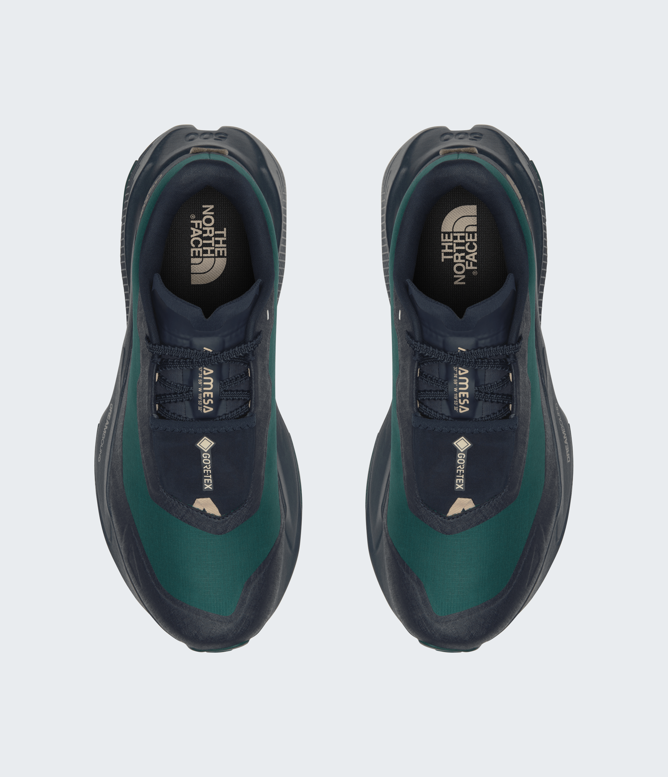 Men’s Altamesa 500 V2 GORE-TEX