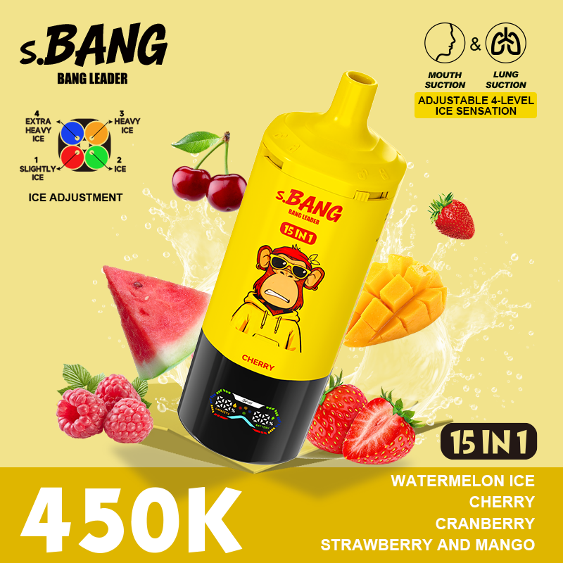 Bang Leader 450K Puffs 15-in-1 Prefilled Vape - 15 Flavours, Rechargeable