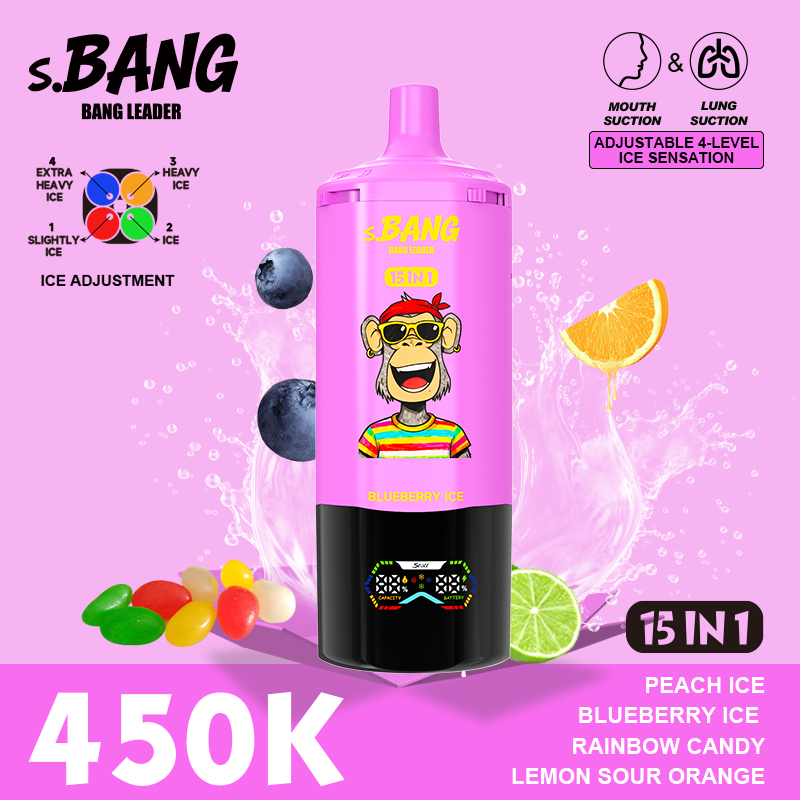 Bang Leader 450K Puffs 15-in-1 Prefilled Vape - 15 Flavours, Rechargeable