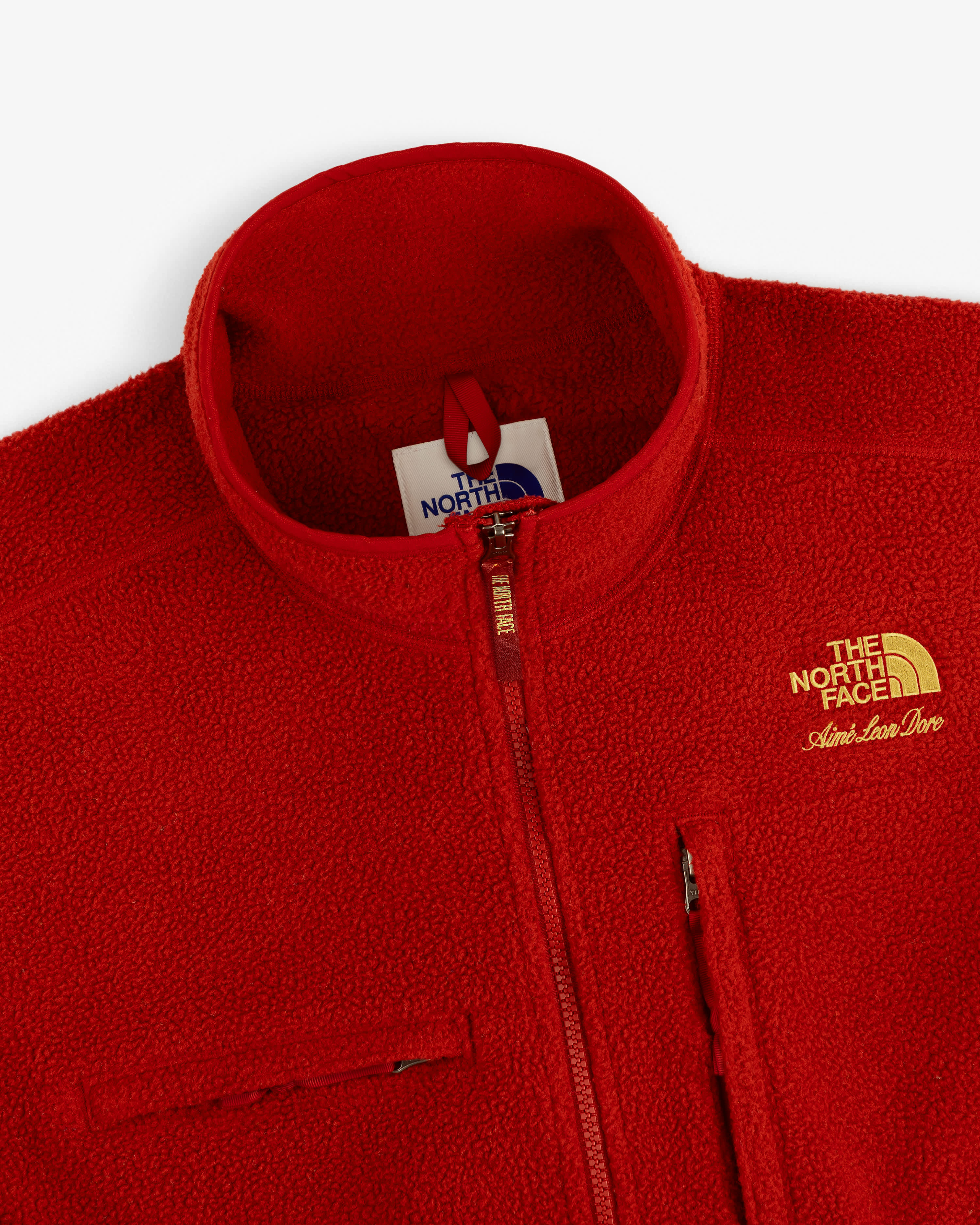 TNF™ X Aimé Leon Dore '95 Denali Half-Zip Fleece Pullover