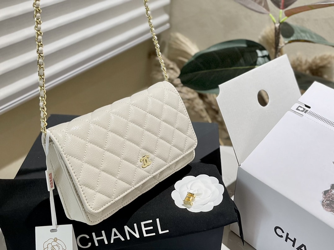 Chanel Wallet On Chain Woc White 19cm