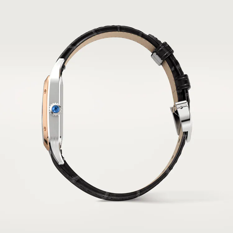 SANTOS-DUMONT Rose Gold MIx 38mm