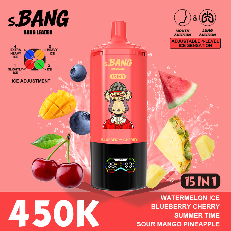 Bang Leader 450K Puffs 15-in-1 Prefilled Vape - 15 Flavours, Rechargeable