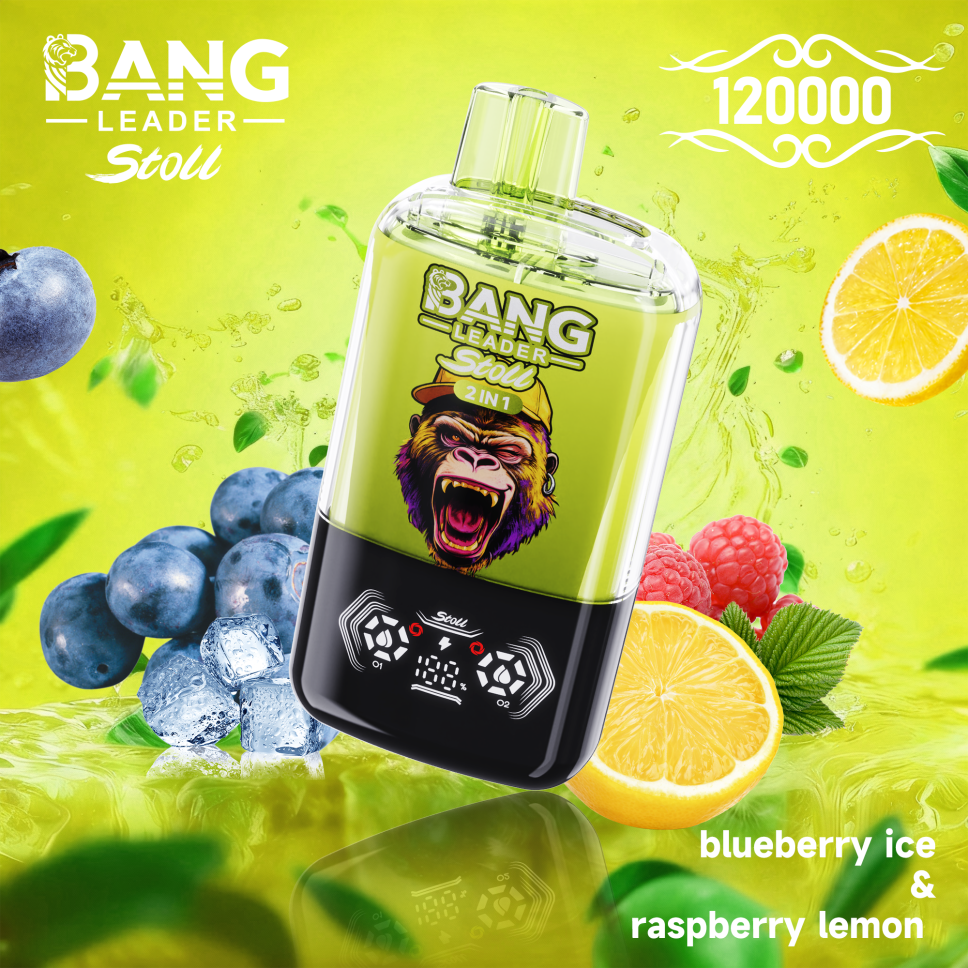 Bang Leader Stoll 120K Puffs 2-in-1 Prefilled Vape Device - Dual Flavour, Rechargeable, 650mAh
