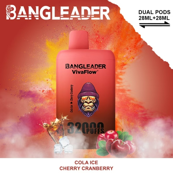 Bang Leader 32K Puffs 2-in-1 Prefilled Vape Device - Dual Flavour, Rechargeable, 650mAh, Dual Pods
