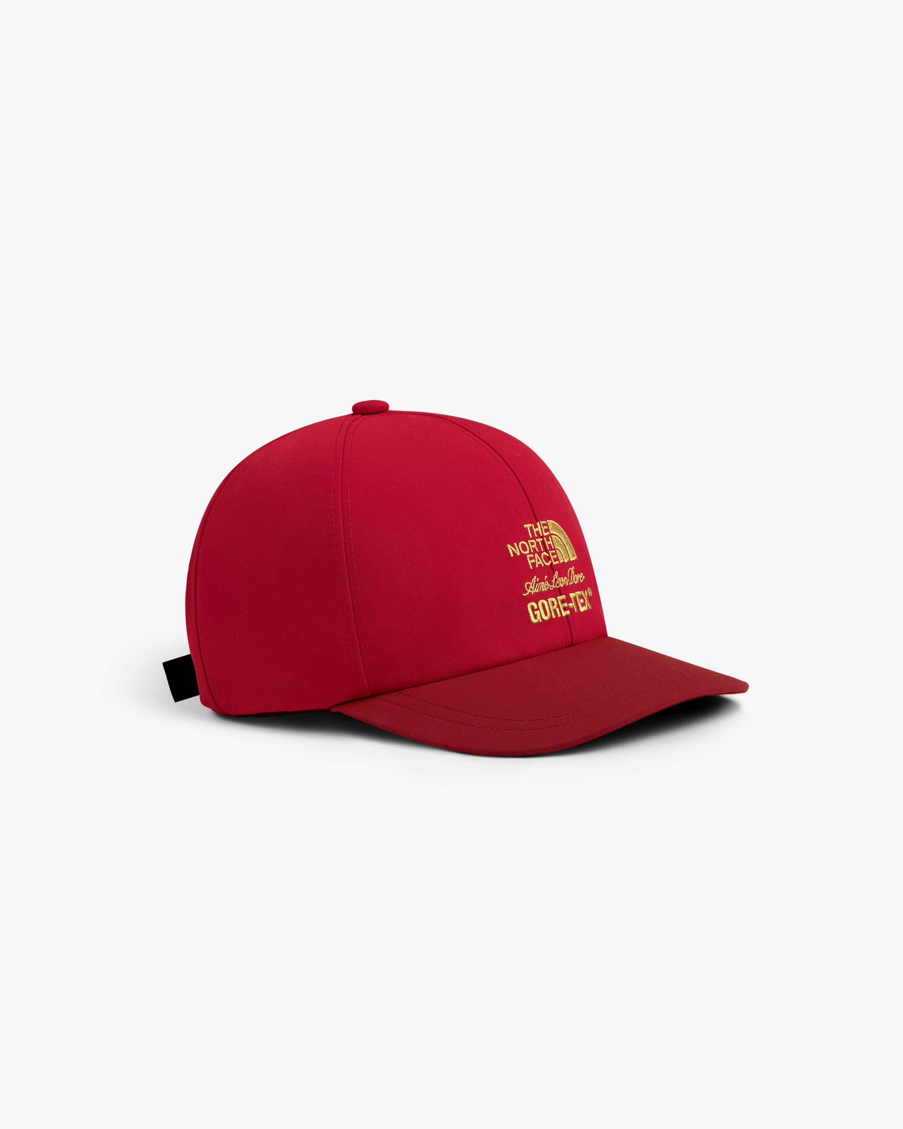 TNF™ X Aimé Leon Dore GORE-TEX® Hat