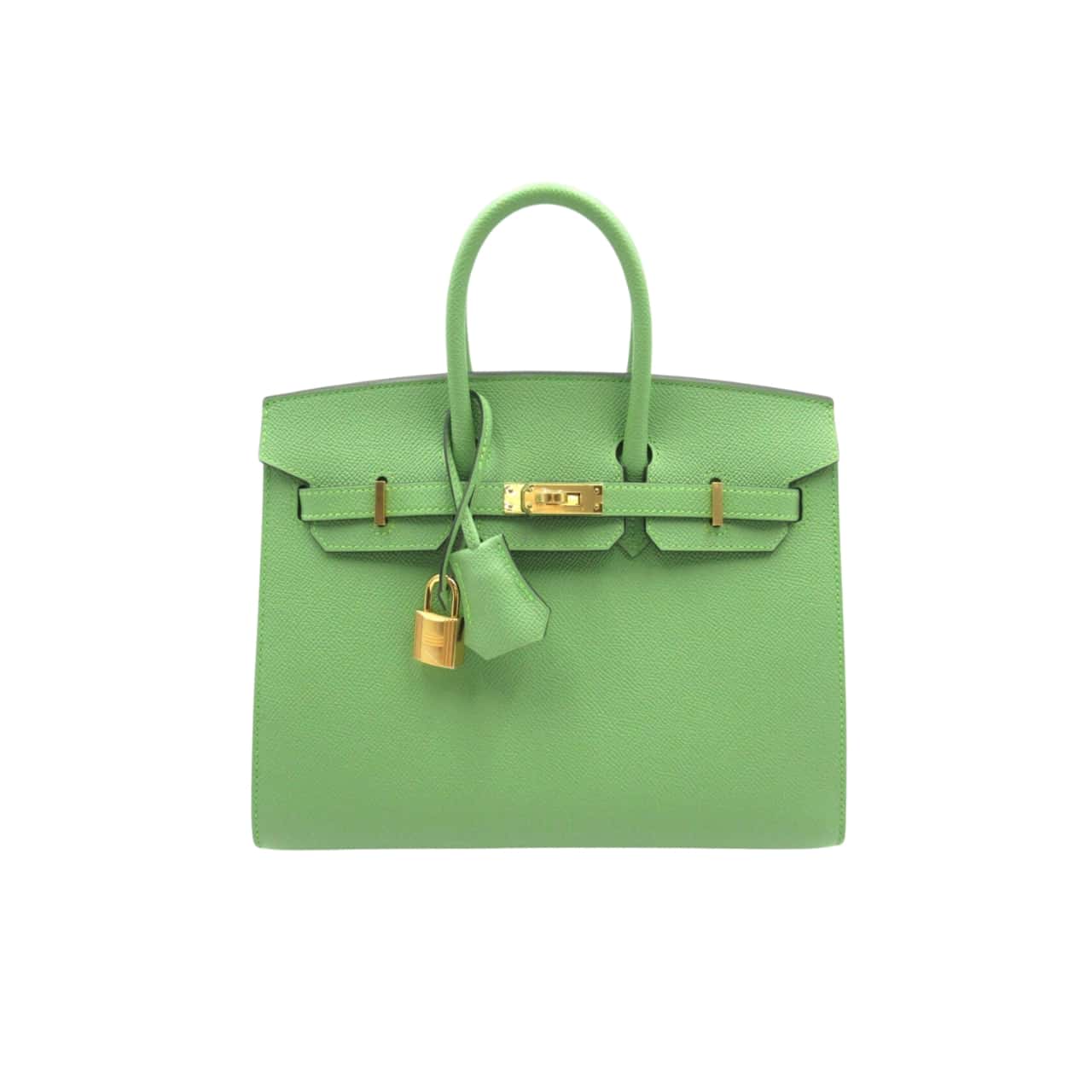Hermès Birkin B25 Togo Grenat Ghw Green 20Cm