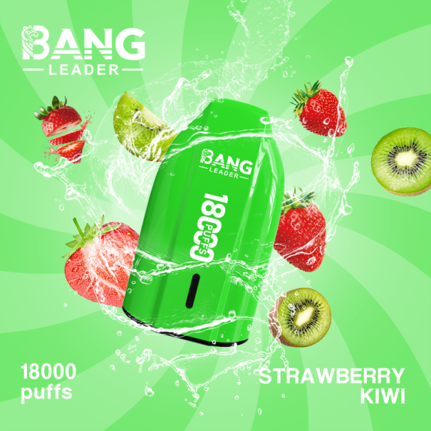 Bang Leader 18K Puffs Prefilled Vape Device - Rechargeable, 650mAh, Mesh Coil