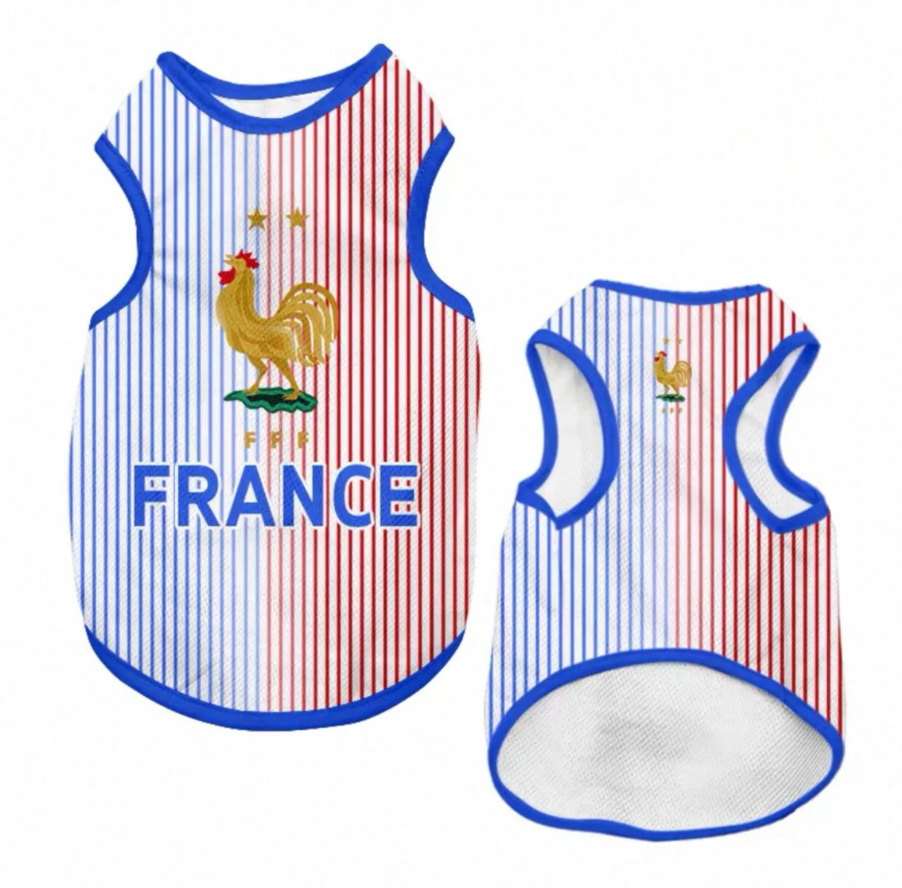 France - Away