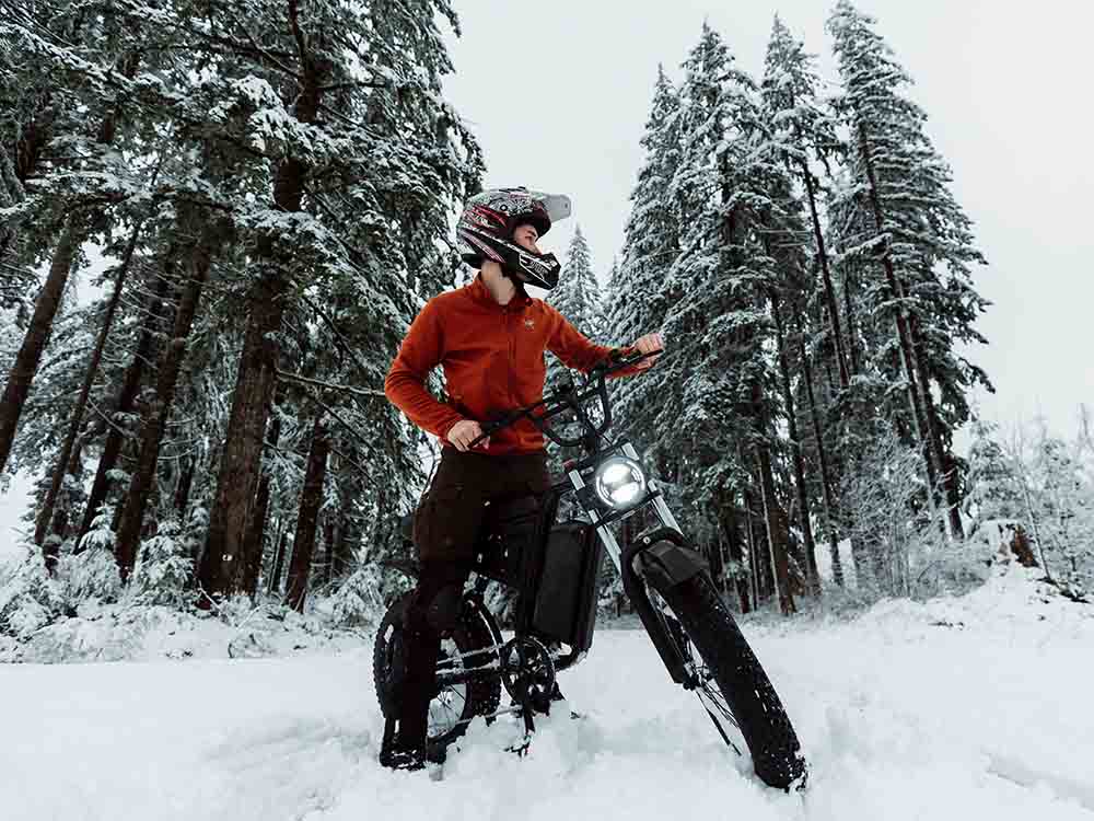 Freego S1 Cafe Racer eBike