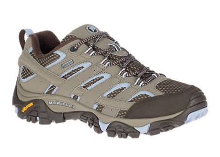 Women's Moab 2 GTX Shoe
