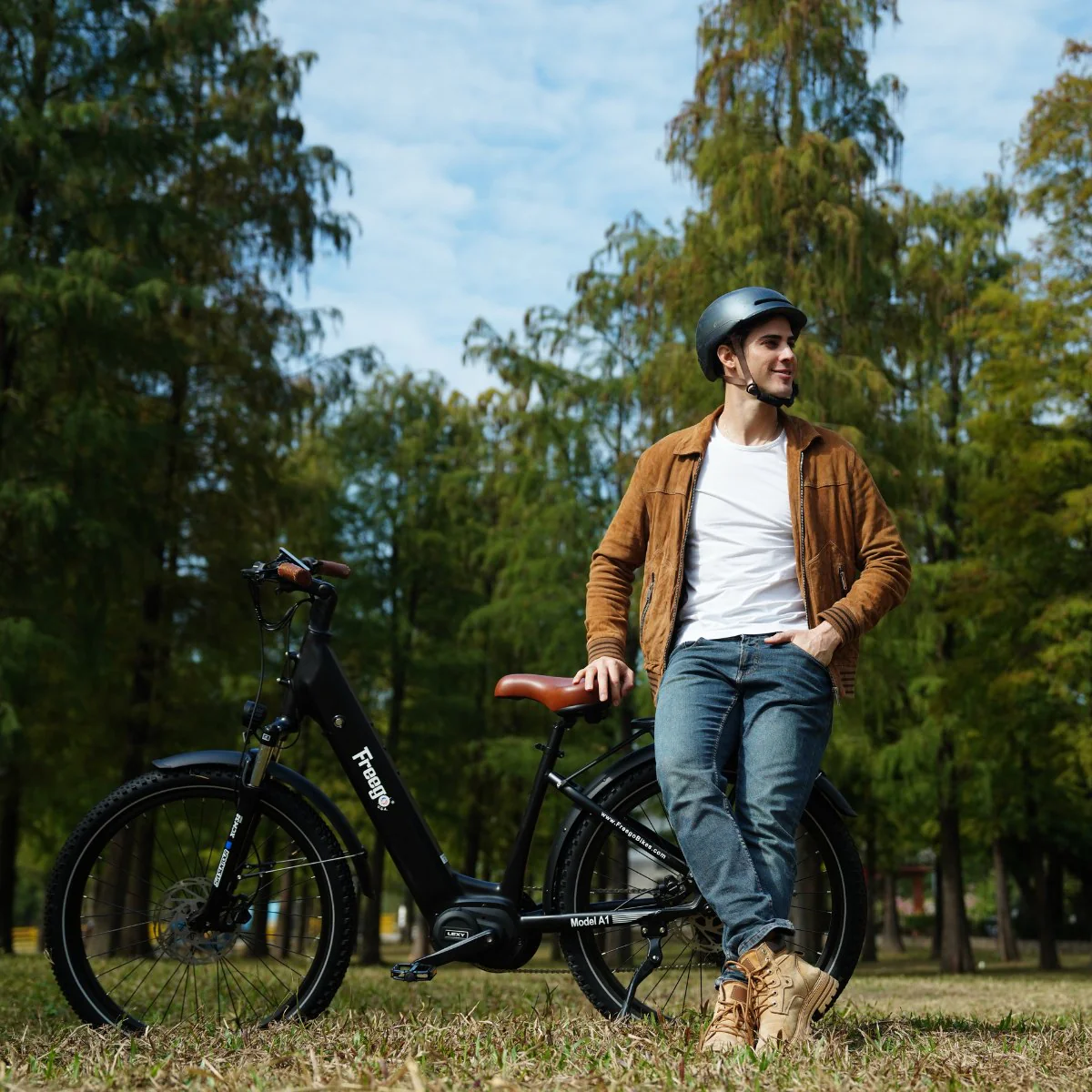 Freego City Flow A1 eBike