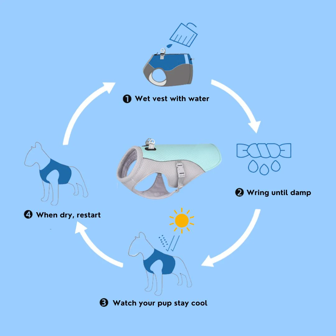🔥 Ice Cooling Dog Protective Vest