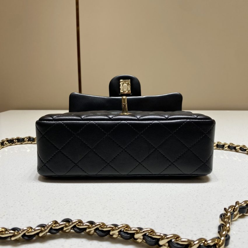 CHANEL Classic Flap 20cm Lion