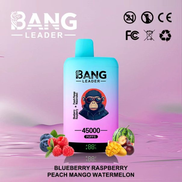Bang Leader 45K Puffs 2-in-1 Prefilled Vape Device - Dual Flavour, Rechargeable, 650mAh