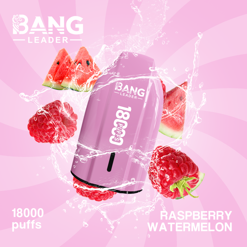 Bang Leader 18K Puffs Prefilled Vape Device - Rechargeable, 650mAh, Mesh Coil