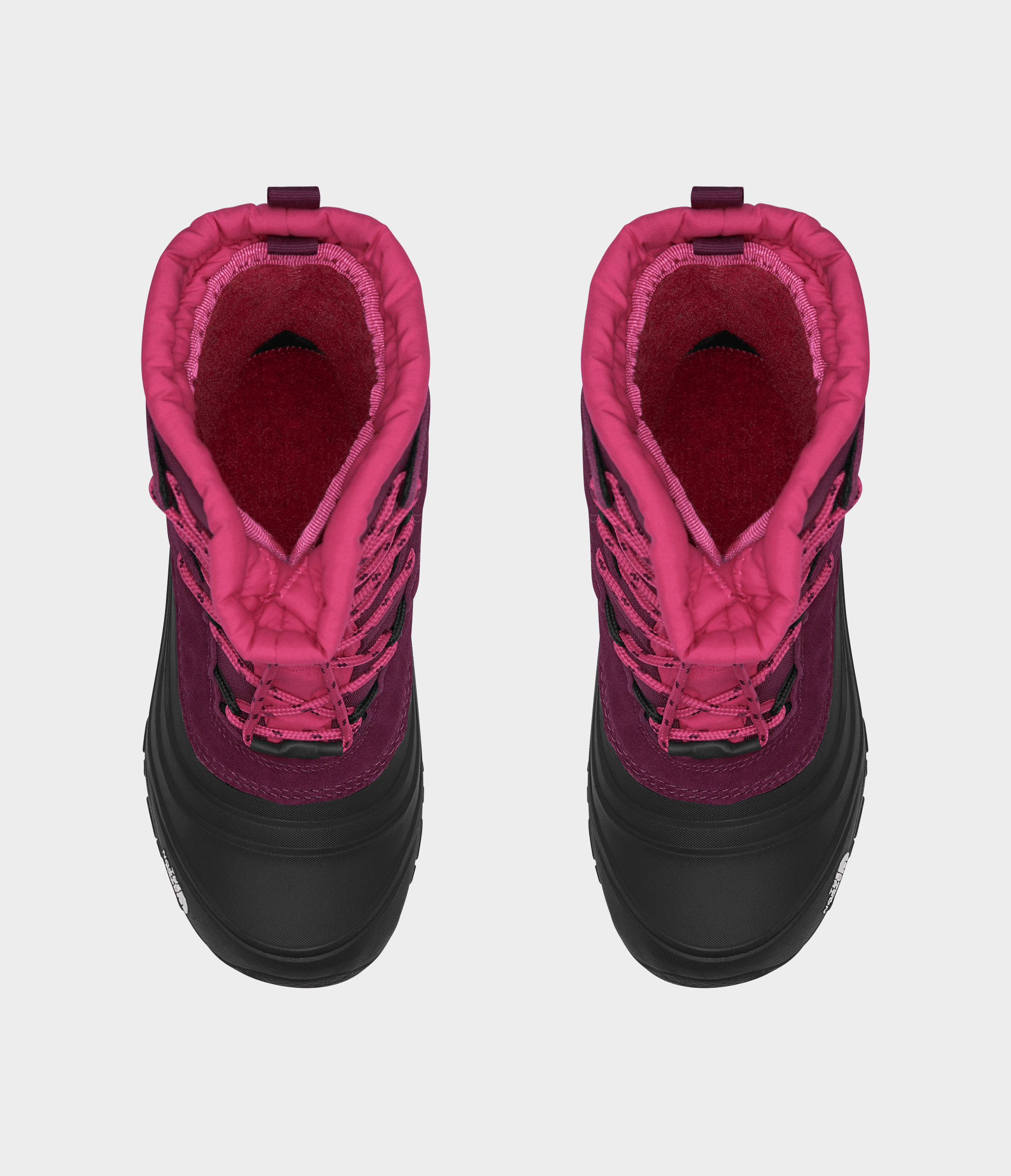 Youth Alpenglow V Waterproof Boots