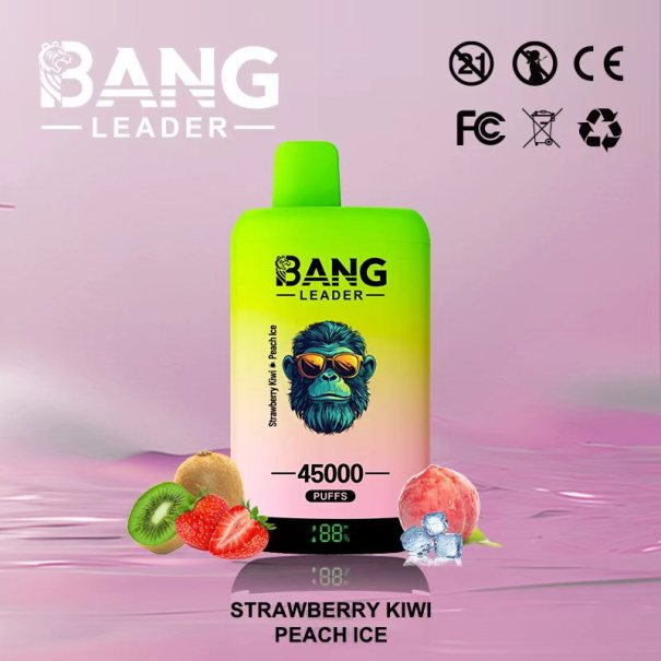 Bang Leader 45K Puffs 2-in-1 Prefilled Vape Device - Dual Flavour, Rechargeable, 650mAh