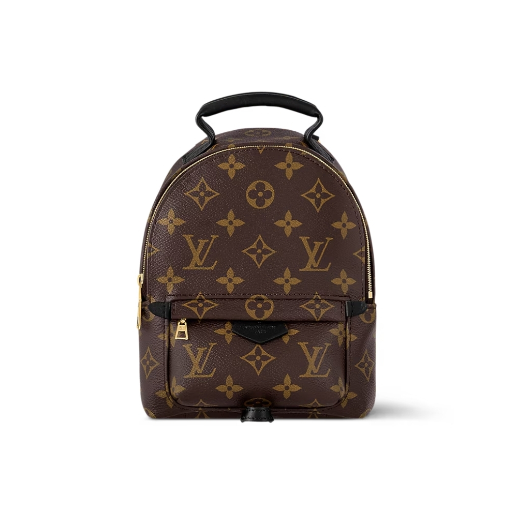 Louis Vuitton Palm Springs Mini Backpack Monogram Canvas 22cm M44873