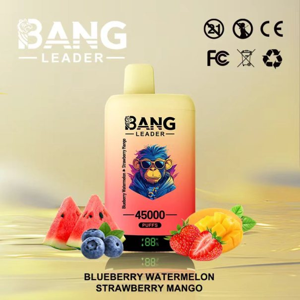Bang Leader 45K Puffs 2-in-1 Prefilled Vape Device - Dual Flavour, Rechargeable, 650mAh