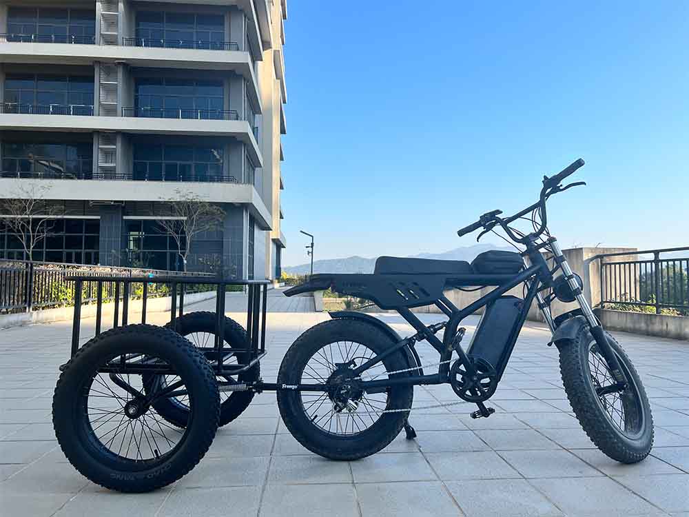 Freego Electric Bicycle Cargo Rear Trailer