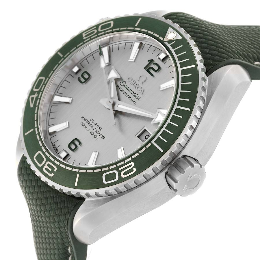 Omega Planet Ocean Gray Dial Steel Mens Watch 215.32.44.21.06.001