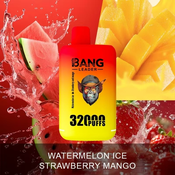 Bang Leader 32K Puffs 2-in-1 Prefilled Vape Device - Dual Flavour, Rechargeable, 650mAh, Dual Pods