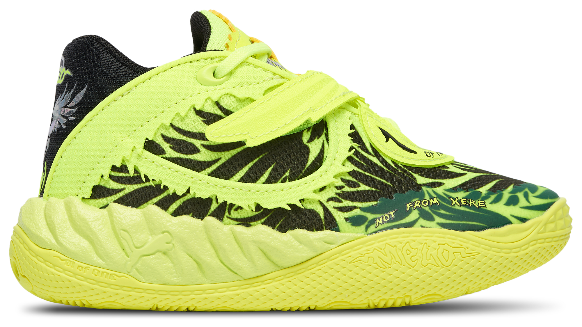 PUMA MB.05 Voltage
