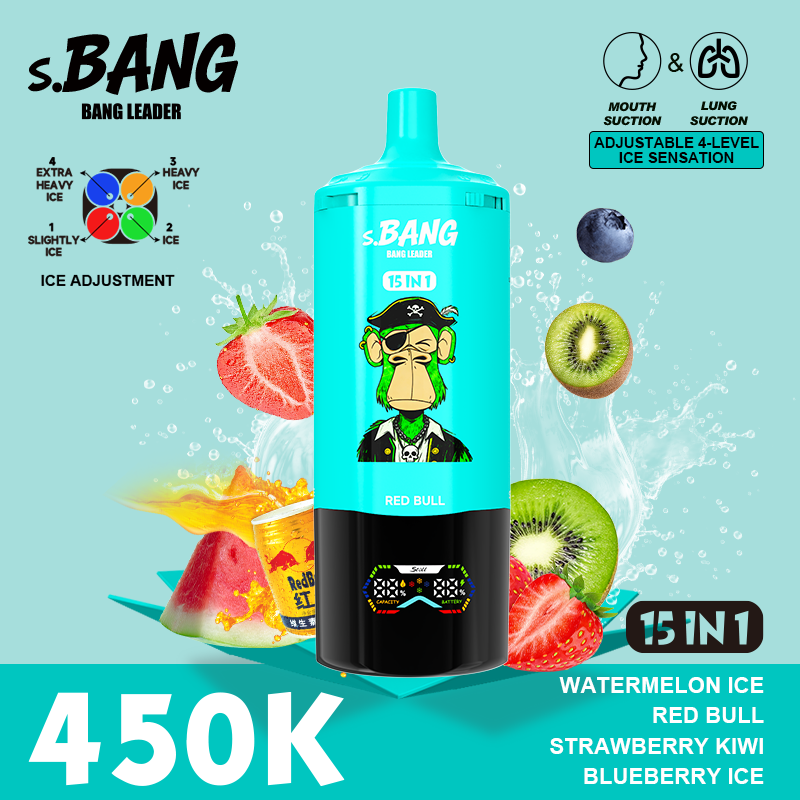 Bang Leader 450K Puffs 15-in-1 Prefilled Vape - 15 Flavours, Rechargeable