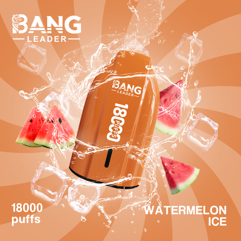 Bang Leader 18K Puffs Prefilled Vape Device - Rechargeable, 650mAh, Mesh Coil