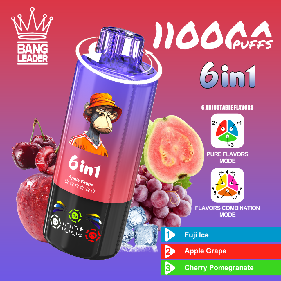 Bang Leader 110K Puffs 6-in-1 Prefilled Vape Device - 6 Flavours, Rechargeable, 850mAh