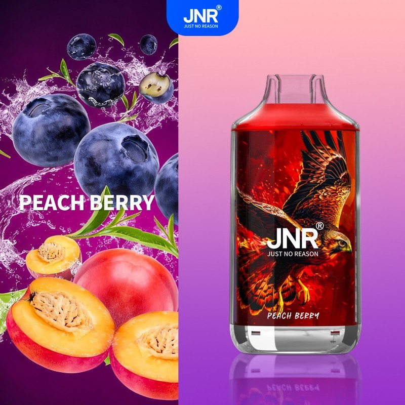 🔥 JNR Falcon 16K Jednorazowy Vape | 2% Nikotyny 💨 16,000 Puffów 🍓🥭🥝 | Szybka wysyłka z Polski 1-3 dni 🚚🇵🇱 | Amerykańska jakość 🇺🇸 | Nowi Klienci Hurtowi 💰🎉